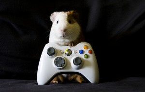 XBox Hamster